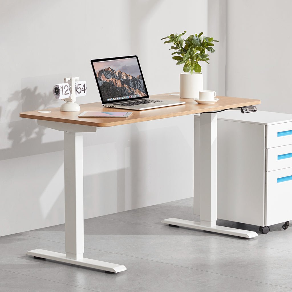 Sunaofe Dual Motor Electric Standing Desk - Sunaofe
