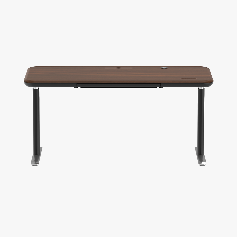 Early-bird Lunar Ergonomic Standing Desk