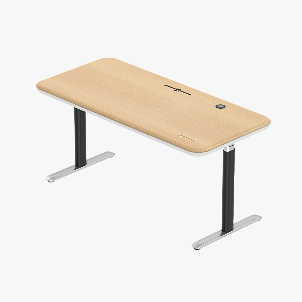 Early-bird Lunar Ergonomic Standing Desk