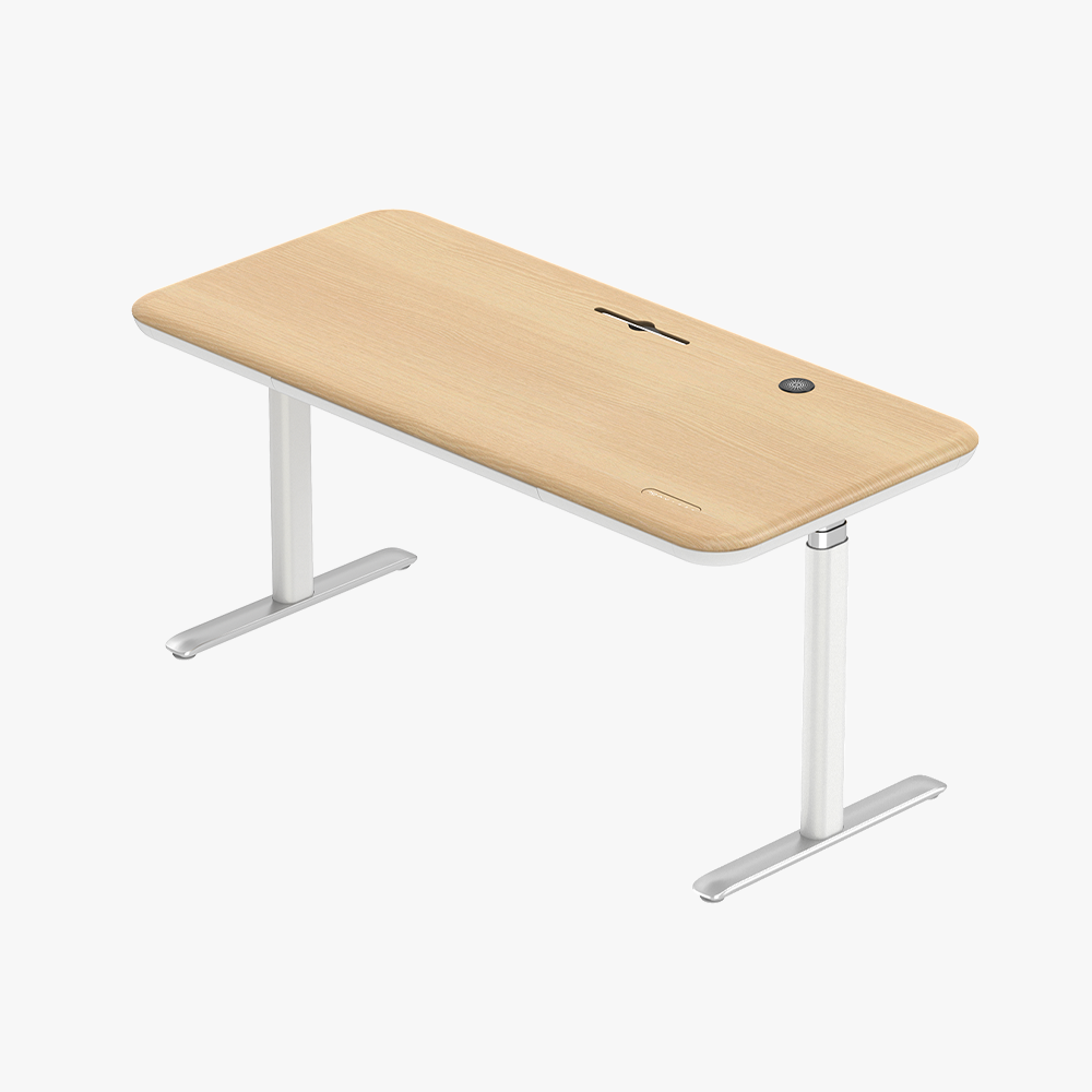 Early-bird Lunar Ergonomic Standing Desk