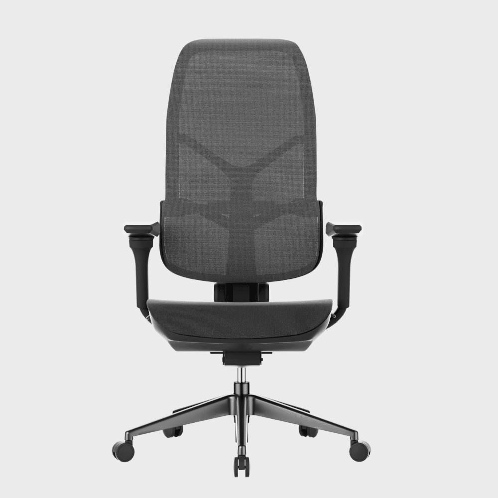 MORPH Classic丨Ergonomic Chair with The Most Advanced Lumbar Support丨Delivered with 8 weeks