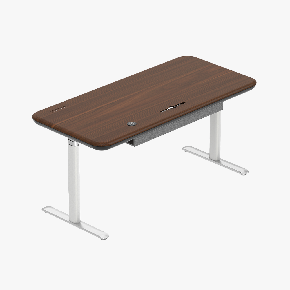 Early-bird Lunar Ergonomic Standing Desk