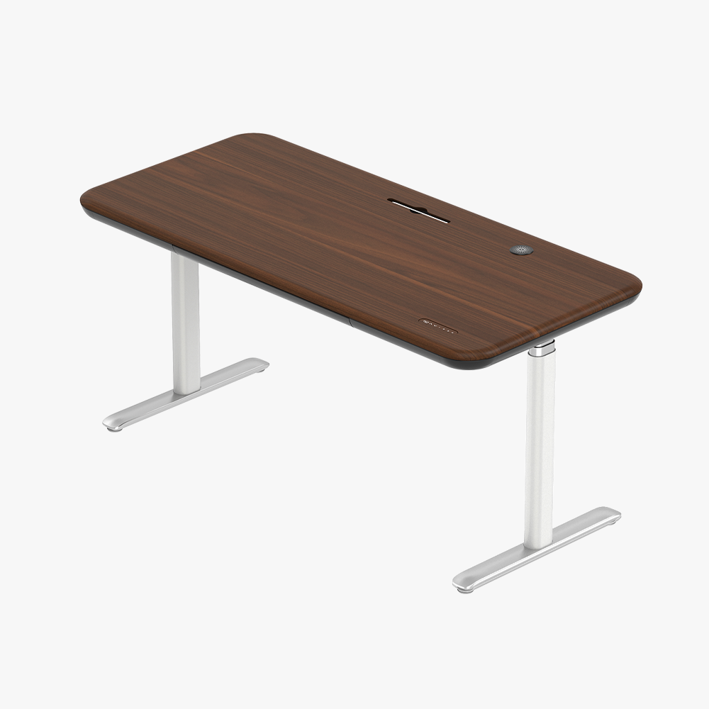 Early-bird Lunar Ergonomic Standing Desk