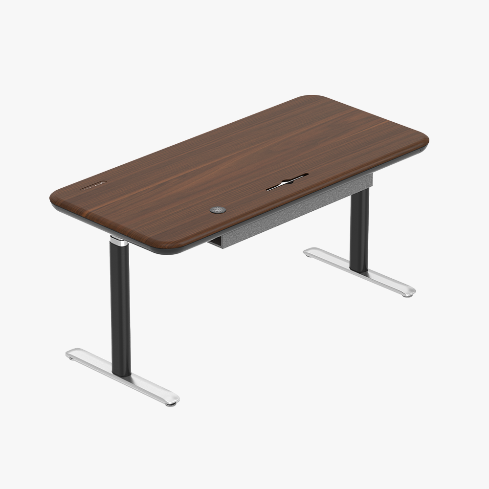 Early-bird Lunar Ergonomic Standing Desk