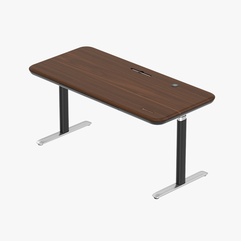 Early-bird Lunar Ergonomic Standing Desk