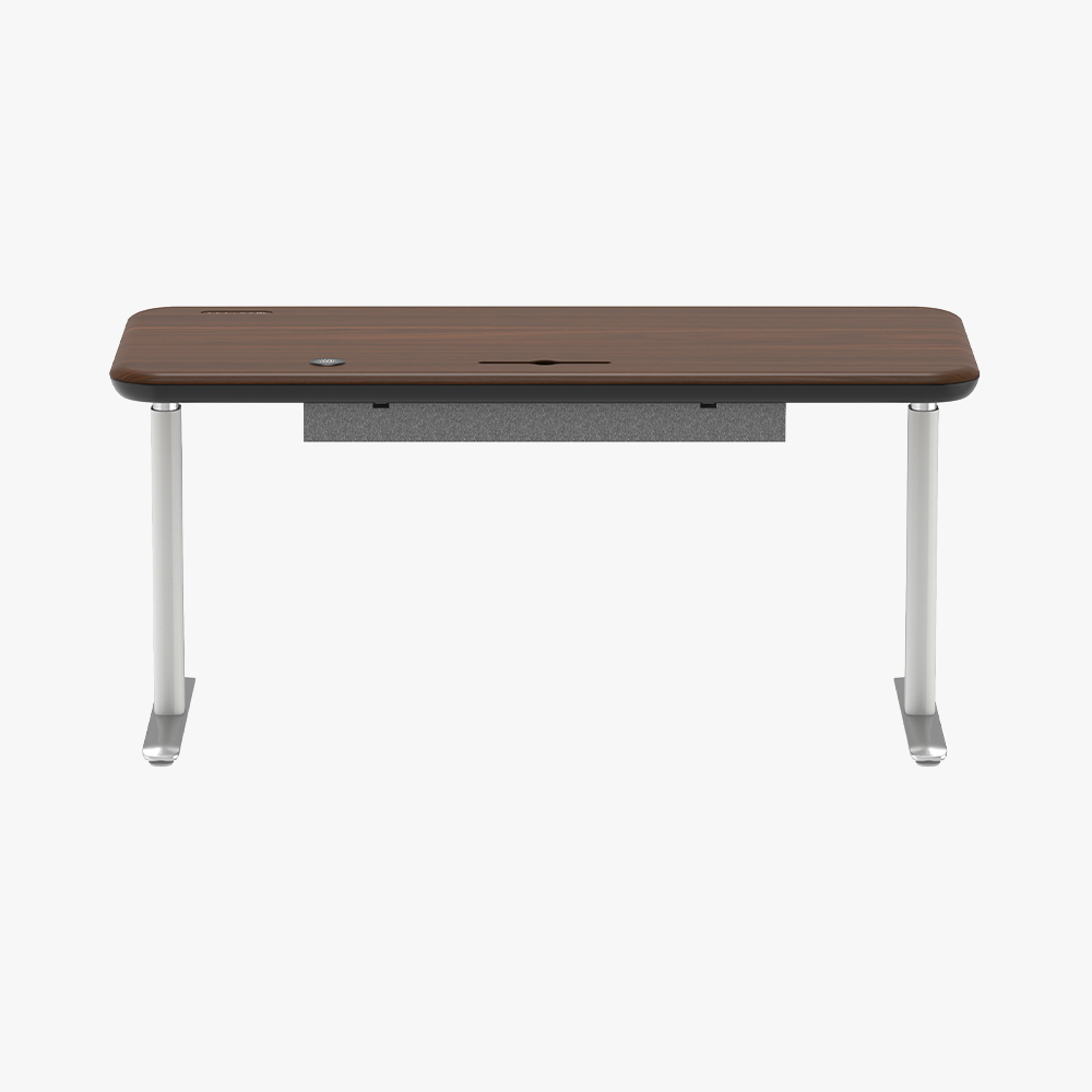 Early-bird Lunar Ergonomic Standing Desk