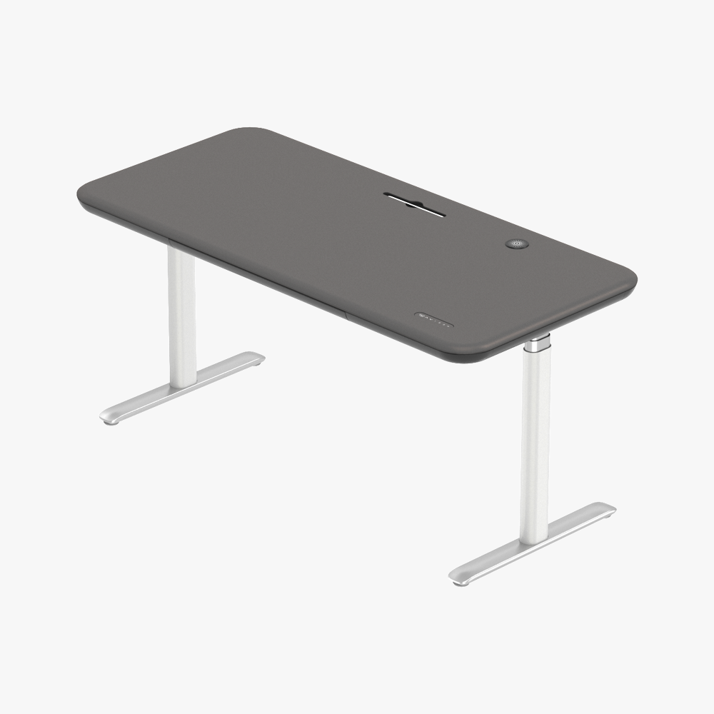 Early-bird Lunar Ergonomic Standing Desk