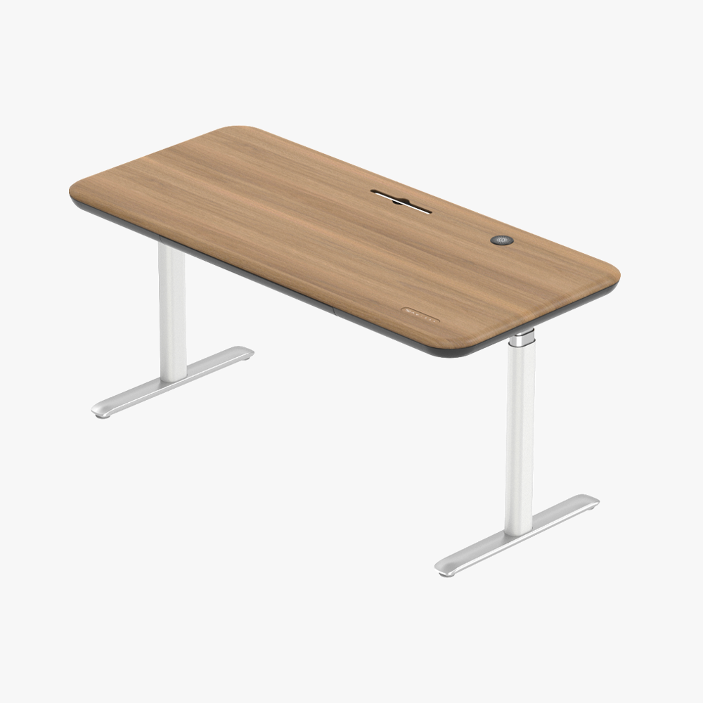 Early-bird Lunar Ergonomic Standing Desk