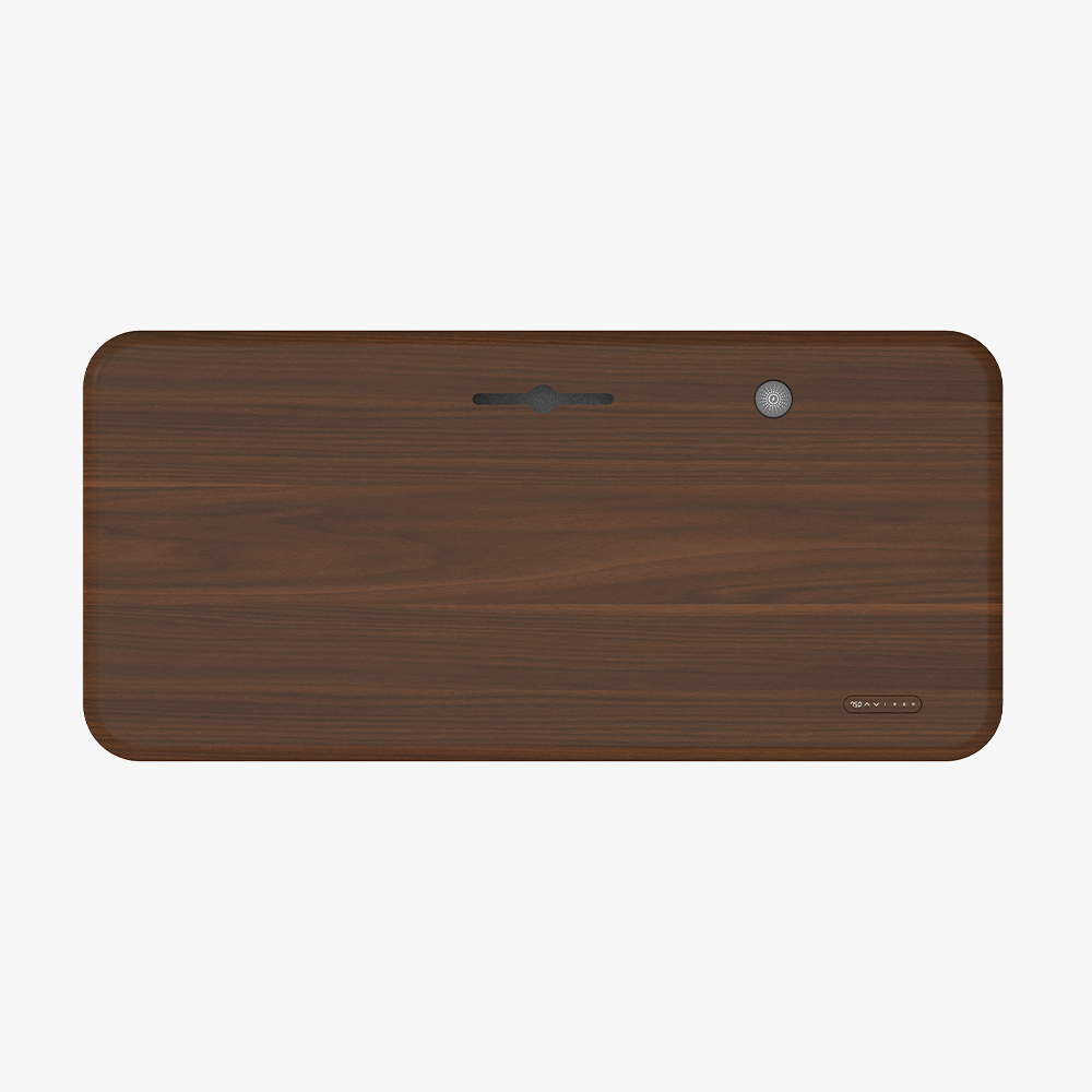 Early-bird Lunar Ergonomic Standing Desk