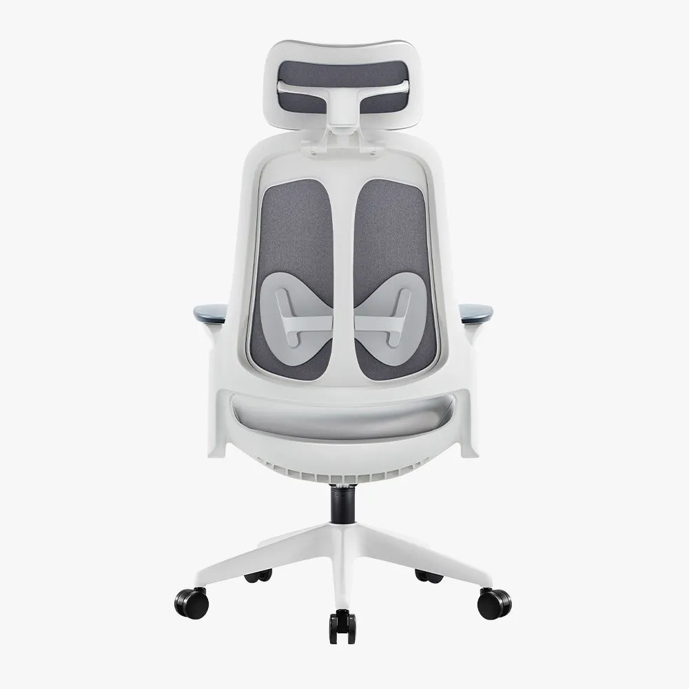 Boss Pro Leather Ergonomic Chair: Luxury, Comfort & Productivity - Sunaofe