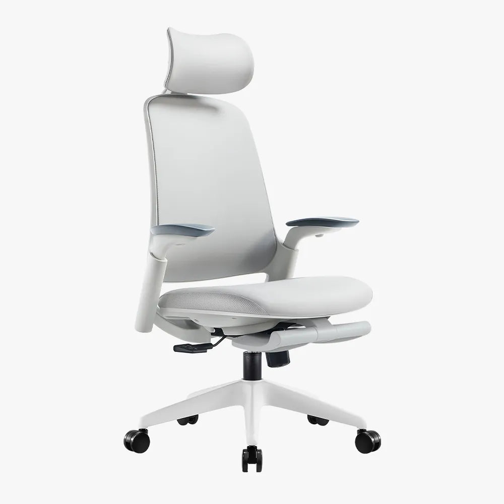 Boss Pro Leather Ergonomic Chair: Luxury, Comfort & Productivity - Sunaofe