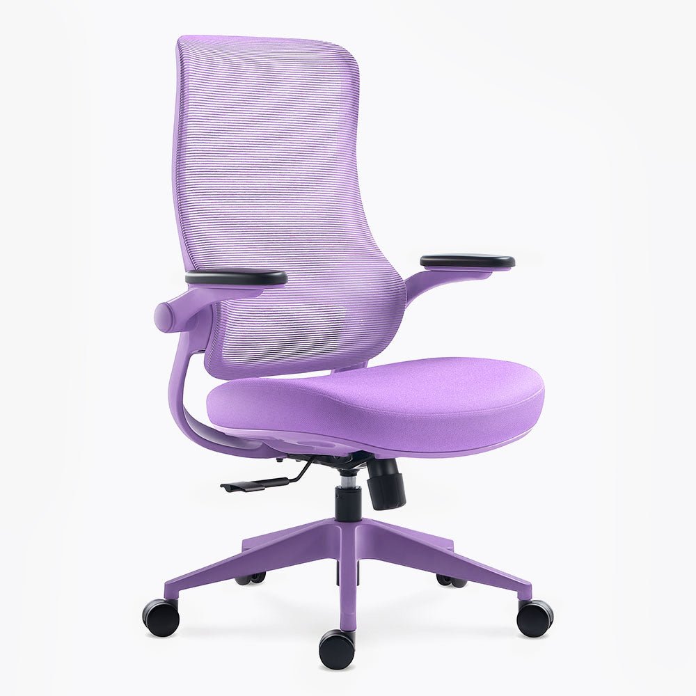 Ergonomic Office Chair in Various Colors on Sale - Sunaofe