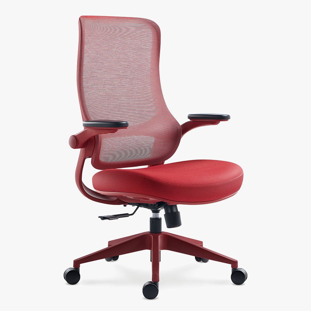 Ergonomic Office Chair in Various Colors on Sale - Sunaofe