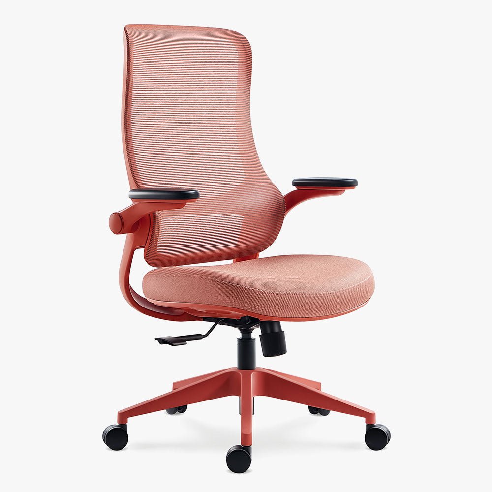 Ergonomic Office Chair in Various Colors on Sale - Sunaofe