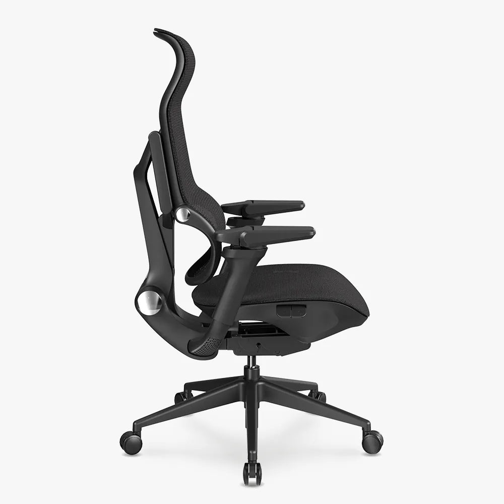 MORPH Classic丨Ergonomic Chair with The Most Advanced Lumbar Support丨Delivered with 8 weeks - Sunaofe