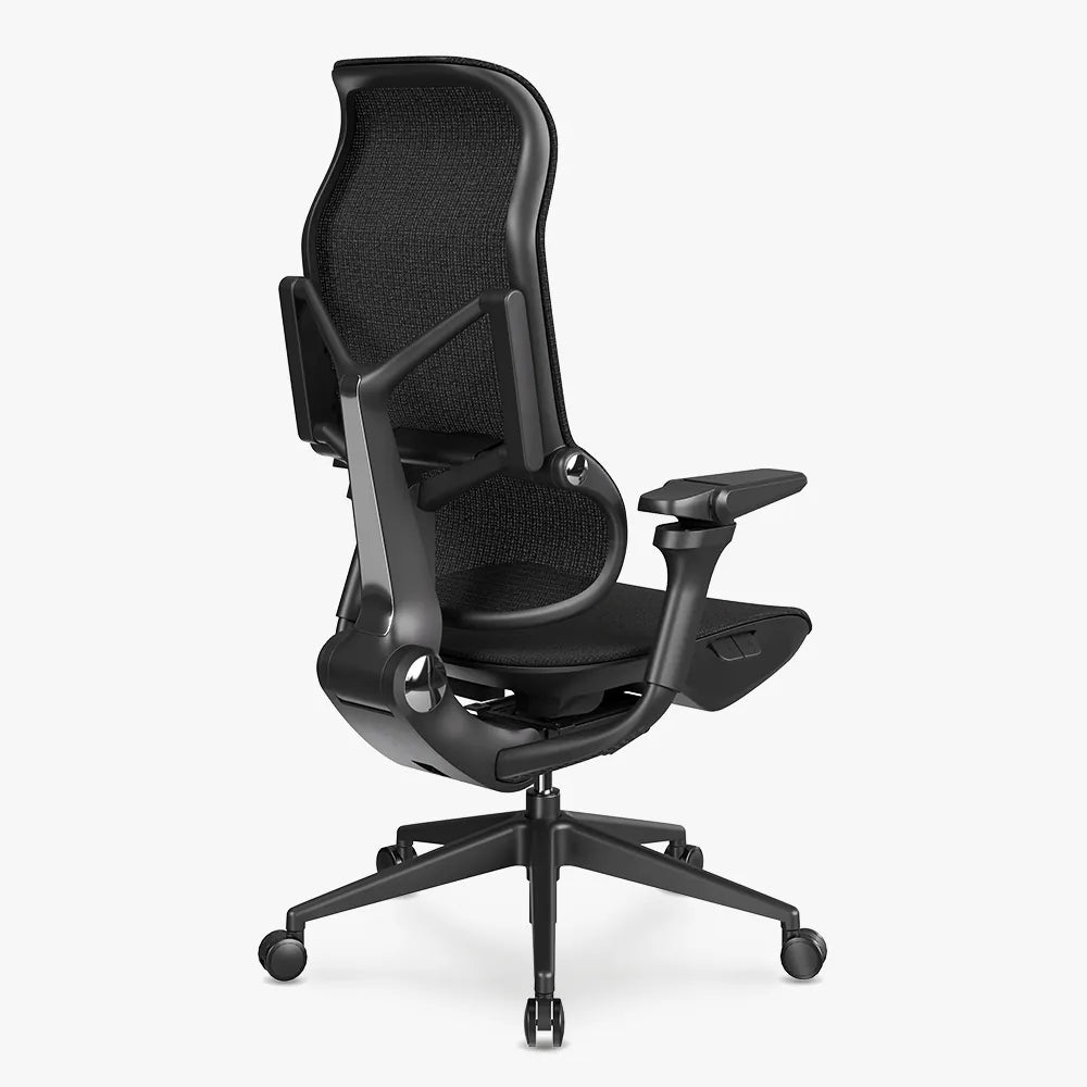 MORPH Classic丨Ergonomic Chair with The Most Advanced Lumbar Support丨Delivered with 8 weeks - Sunaofe