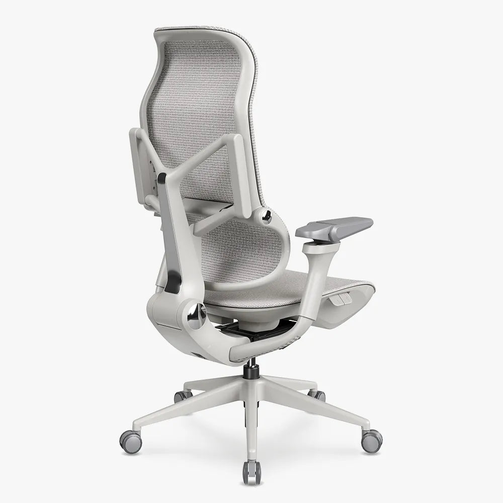 MORPH Classic丨Ergonomic Chair with The Most Advanced Lumbar Support丨Delivered with 8 weeks - Sunaofe