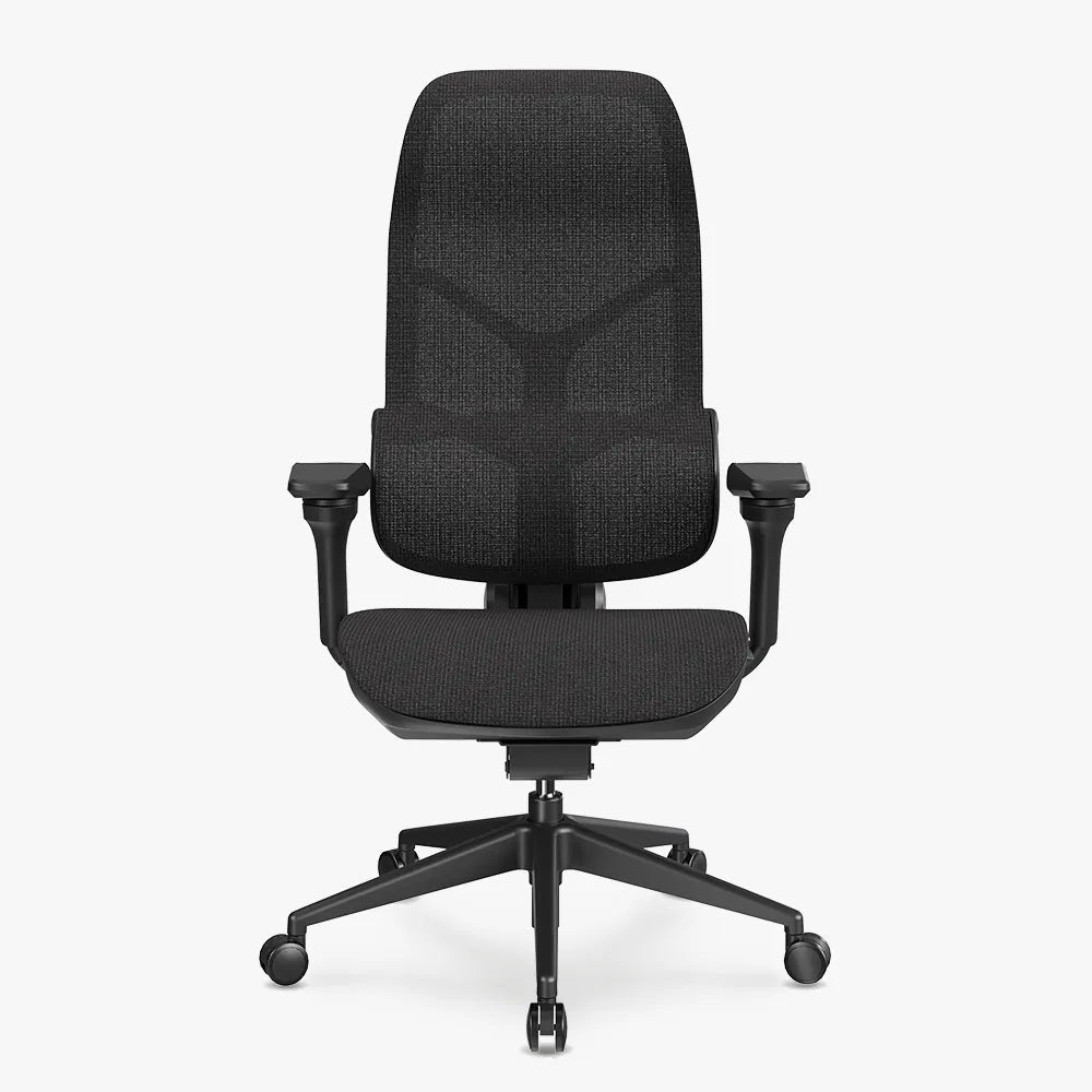 MORPH Classic丨Ergonomic Chair with The Most Advanced Lumbar Support丨Delivered with 8 weeks - Sunaofe