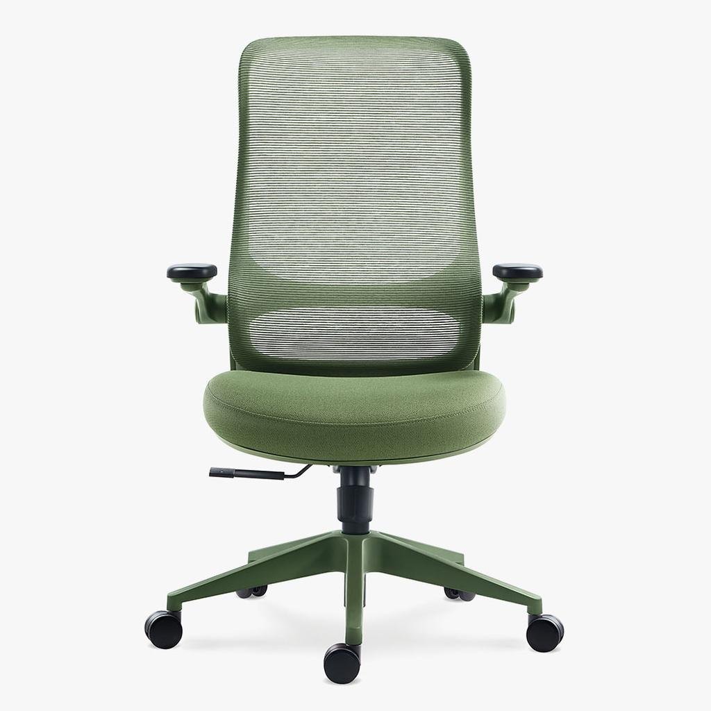 Resistance丨Green Office Chair – Built for Initiative丨Early access –Delivery in 90 days, Refund anytime until shipped - Sunaofe