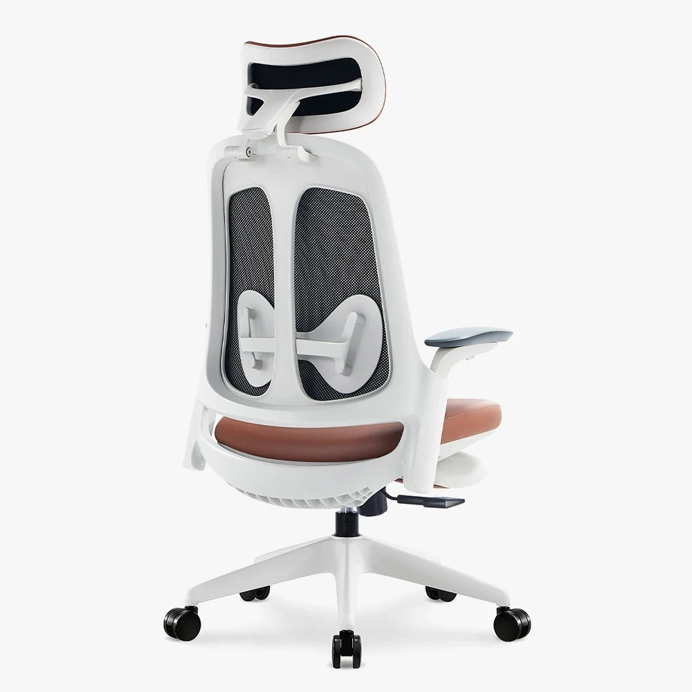 #color_white frame/dark brown