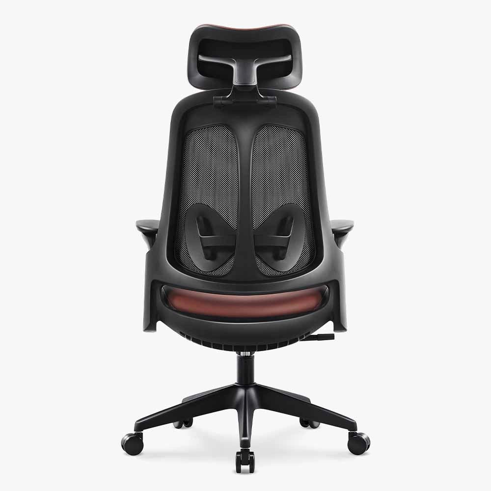 #color_black frame/dark brown