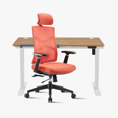 Promotion！Ergonomic Chair & Tilting Standing Desk Bundle