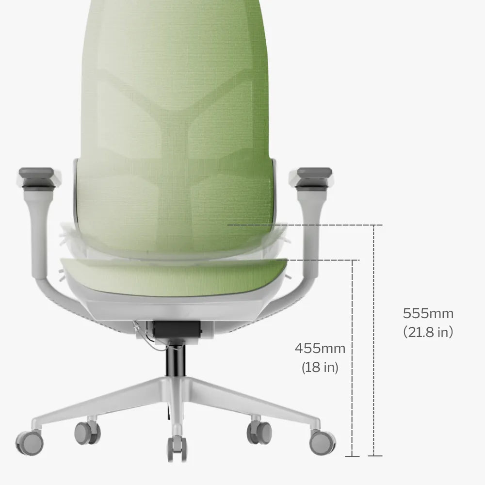 MORPH Edition Ergonomic Chair Dimensions and Features