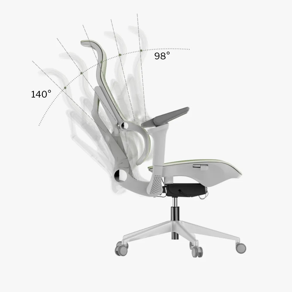 Morph Edition Ergonomic Chair Adjustable Backrest and Dimensions