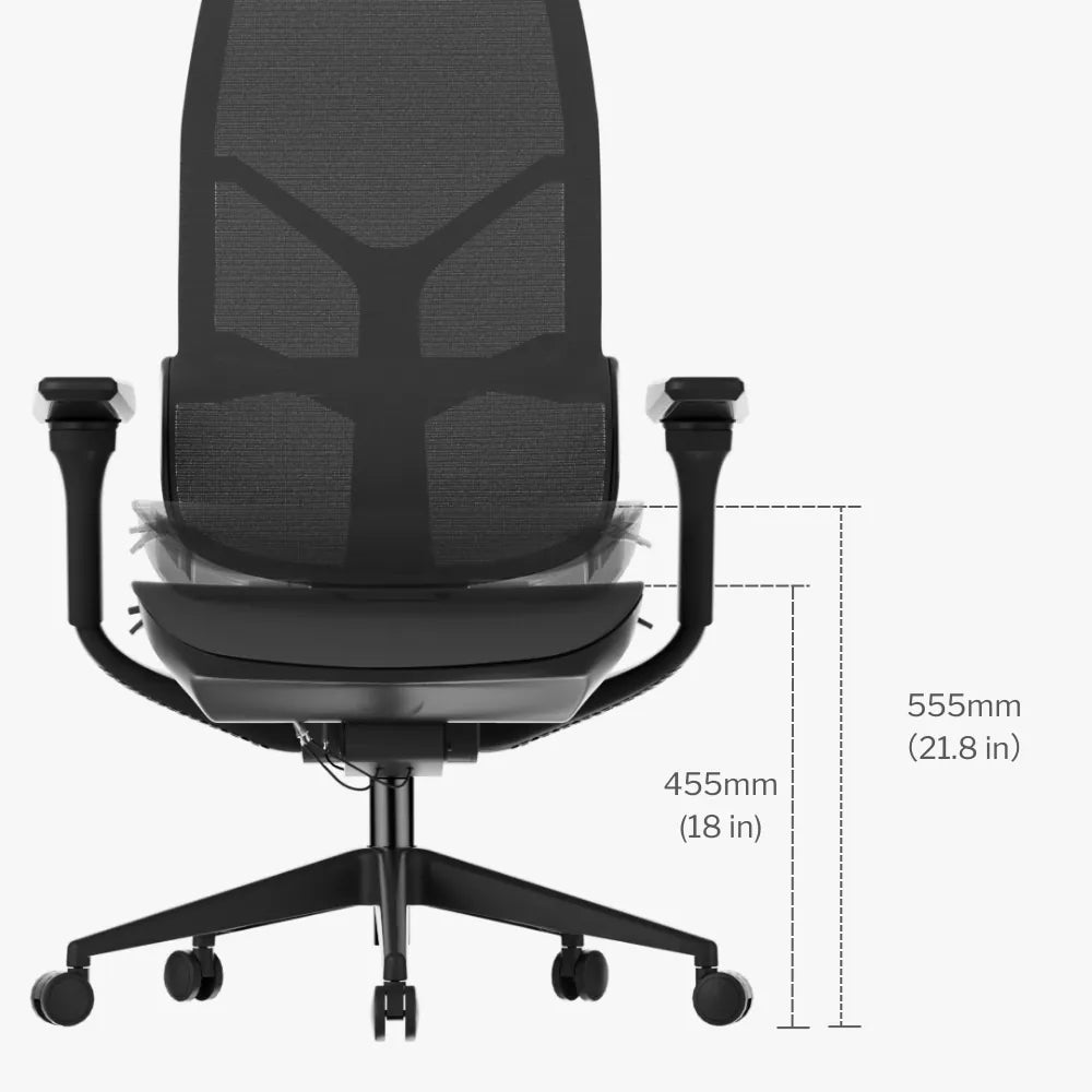 Morph Edition Ergonomic Chair Adjustable Features