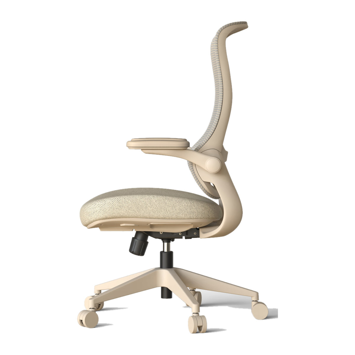 #color_beige