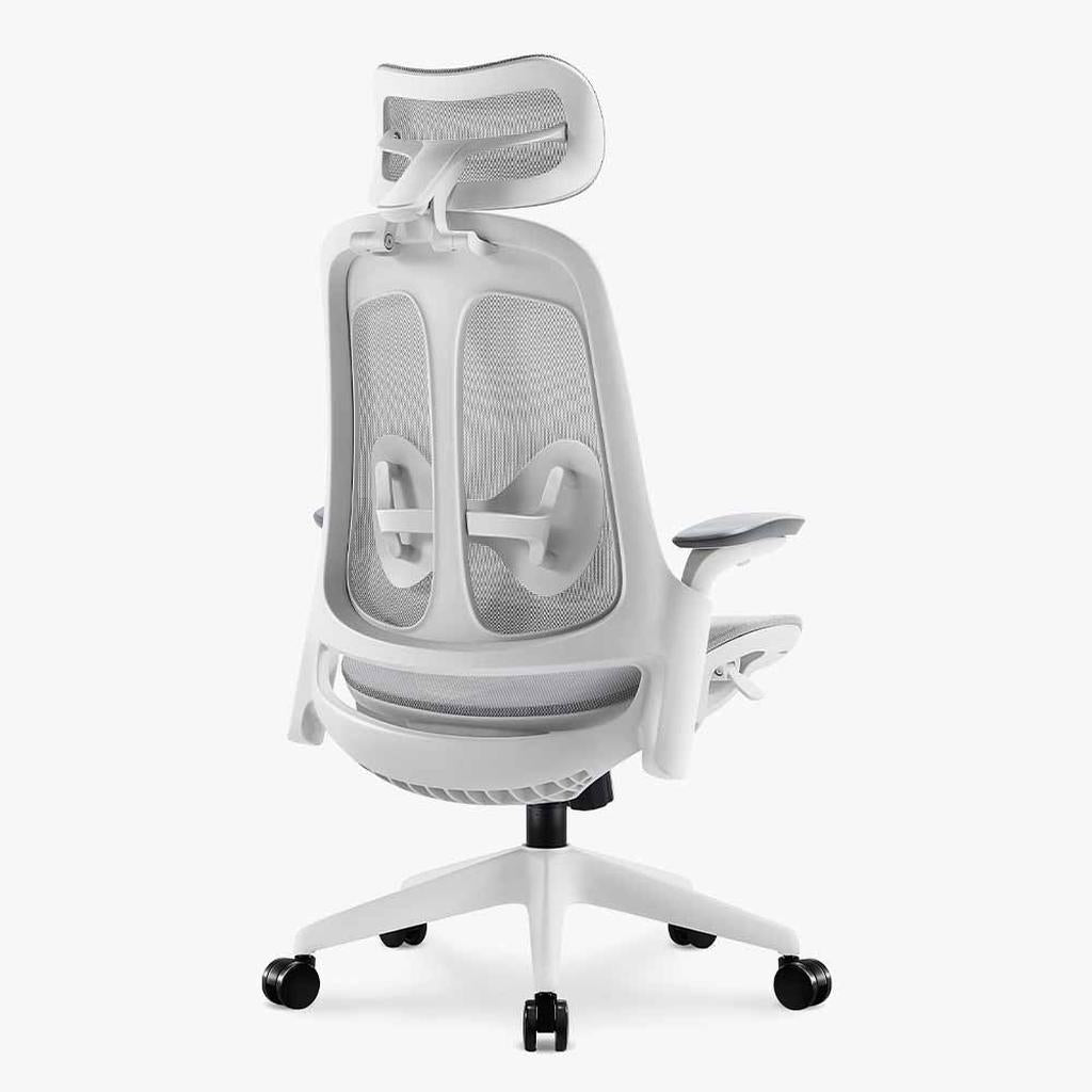 Boss Mesh Ergonomic Chair: Breathable Comfort & Support