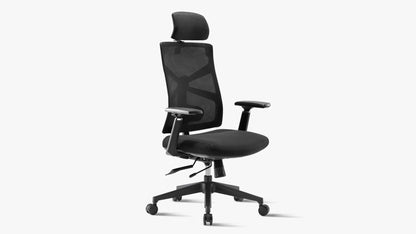 Sunaofe Ergonomic Office Chair Angled View