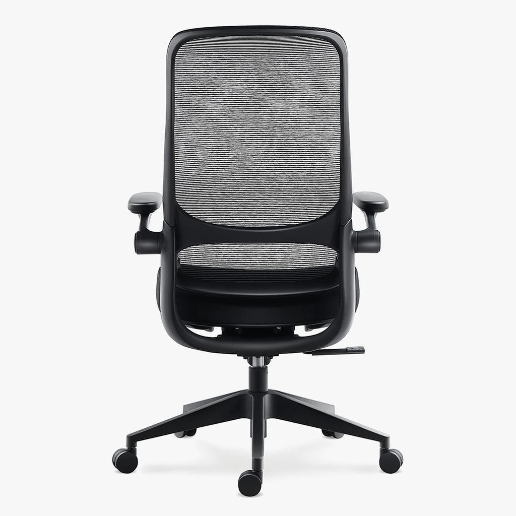 Sunaofe Ergonomic Sustainable Black Office Chairs Rear View