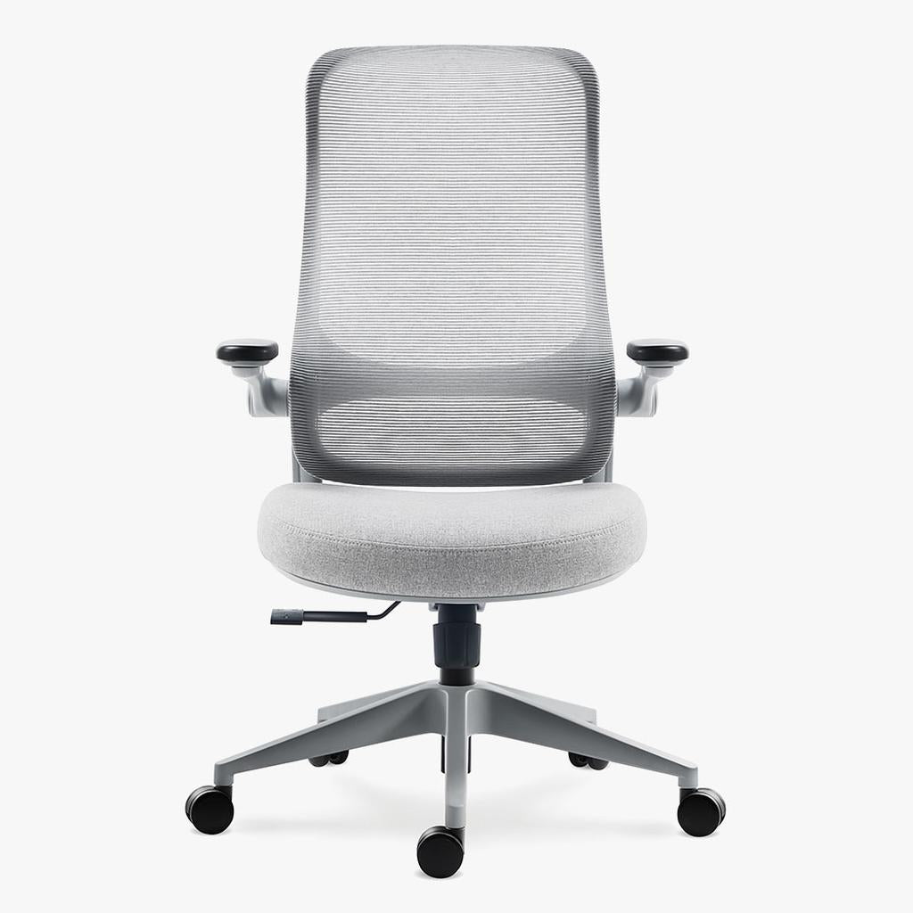 Sunaofe Ergonomic Gray Office Desk Chair Front View