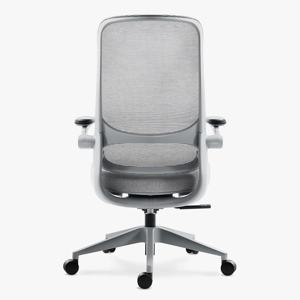 Sunaofe Ergonomic Gray Office Chair Rear View