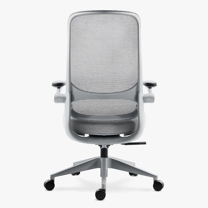 Sunaofe Ergonomic Gray Office Chair Rear View