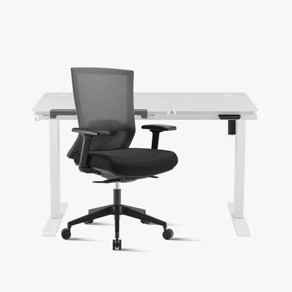 Promotion！Electric Standing Desk & Elite67 Chair Bundle