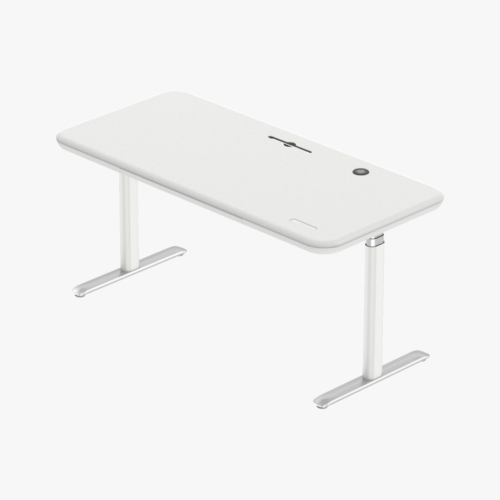 Lunar Ergonomic Standing Desk