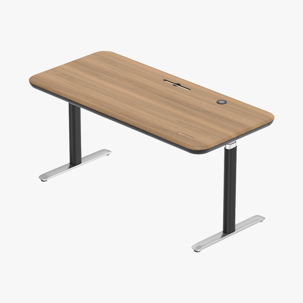 Lunar Ergonomic Standing Desk