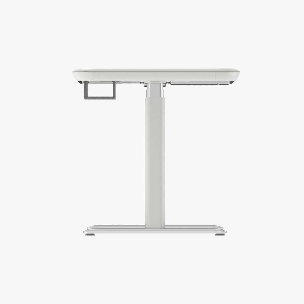 Lunar Ergonomic Standing Desk