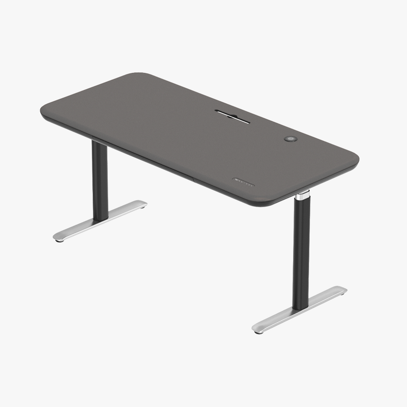 Lunar Ergonomic Standing Desk