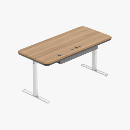 Lunar Ergonomic Standing Desk