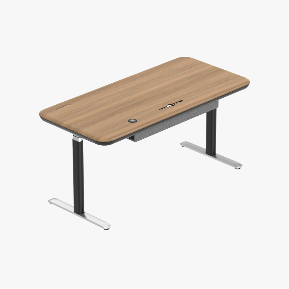 Lunar Ergonomic Standing Desk