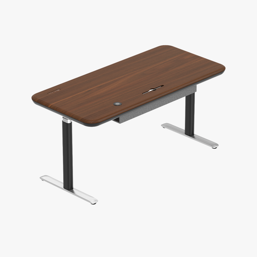 Lunar Ergonomic Standing Desk