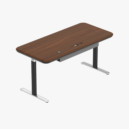 Lunar Ergonomic Standing Desk