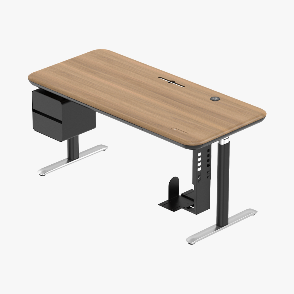Lunar Ergonomic Standing Desk