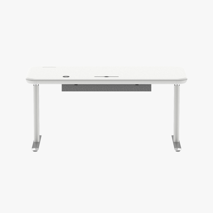 Lunar Ergonomic Standing Desk