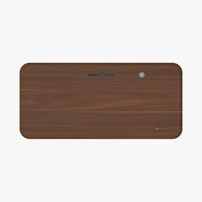 Lunar Ergonomic Standing Desk