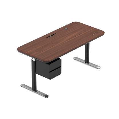 All - in - one Ergonomic Standing Desk丨Deposit $25, Lock the exclusive VIP price of $399 - Sunaofe