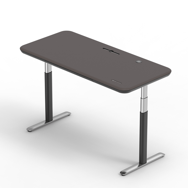 Lunar Ergonomic Desk